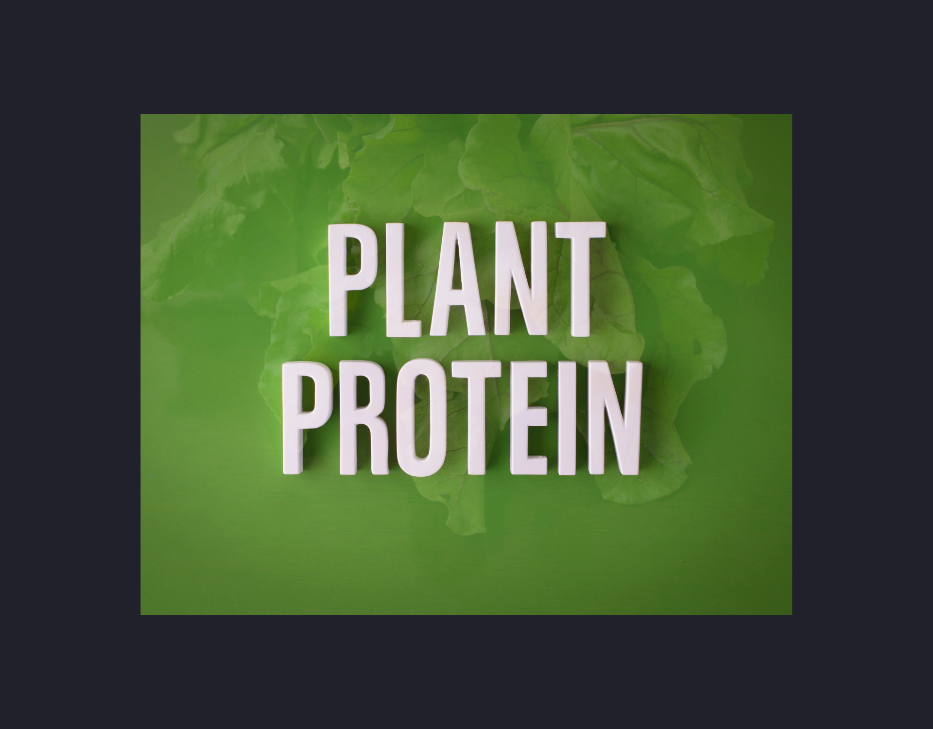 voordelen van plantaardige eiwitbronnen zoals eiwitshakes en voeding