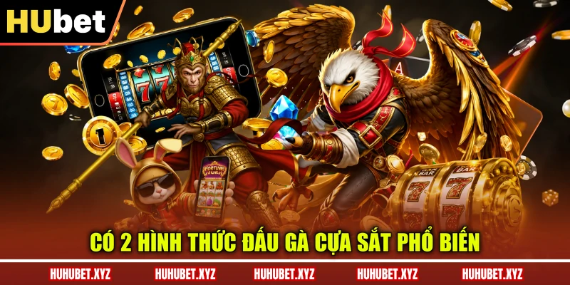 Đá Gà Cựa Sắt - Tổng Quan Luật Chơi, Dòng Gà Chiến 4 Có 2 hình thức đấu gà cựa sắt phổ biến