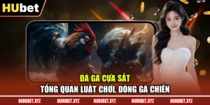 Đá Gà Cựa Sắt - Tổng Quan Luật Chơi, Dòng Gà Chiến